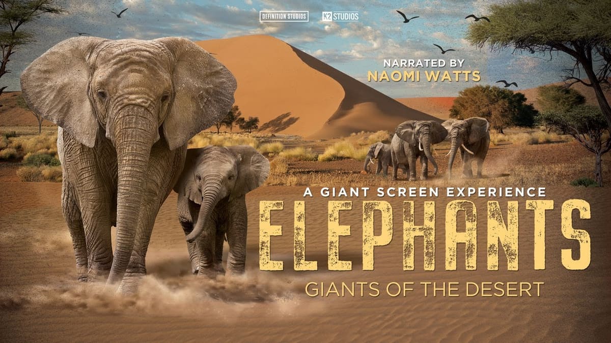 Still from Elephants: Giants of the Desert