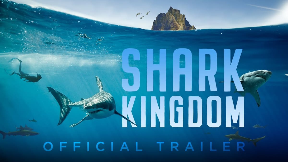 Still from Shark Kingdom