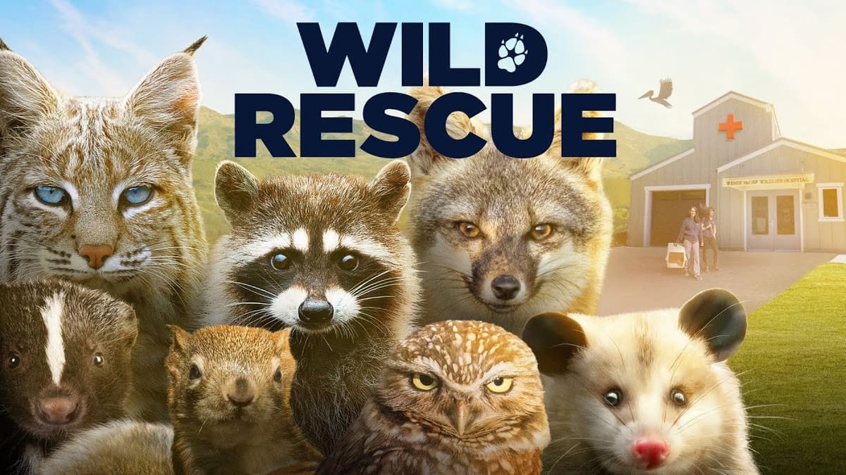 Still from Wild Rescue