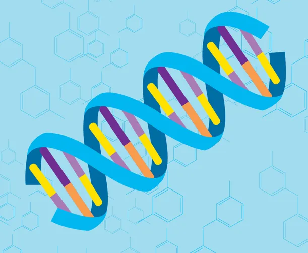 DNA and Genetics Lab