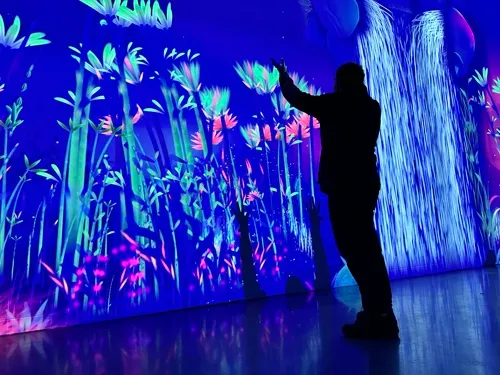 Man raises his arms to make flowers grow in Dream Garden