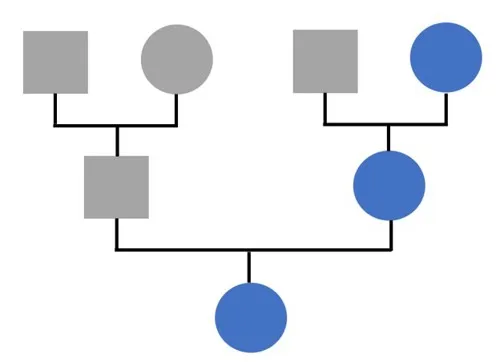 mtDNA tests trace maternal lineage (shown in blue). Boxes represent biological males while circles represent biological females. (Image by R. Jain)