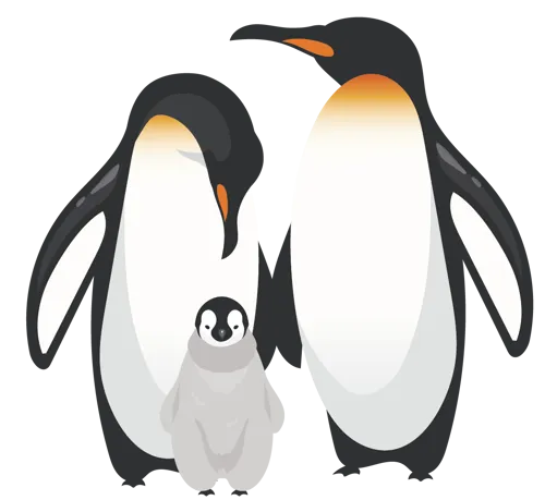 Emperor Penguin