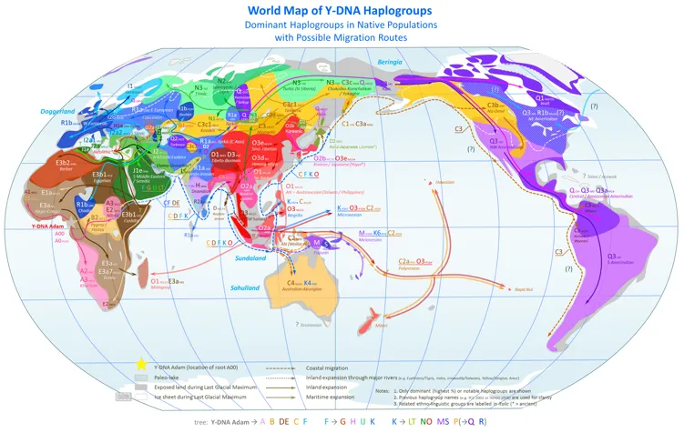 Y-chromosome haplogroups originated in southwest Africa and migrated outward (Image: Wikipedia)