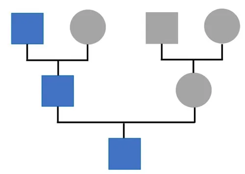 Y-DNA tests trace paternal lineage (shown in blue) from father to son. Boxes represent biological males while circles represent biological females. (Image by R. Jain)