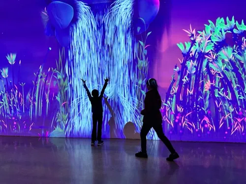 In Dream Garden, The Tech Interactive's newest exhibit, visitors experience the intersection of AI and creativity through play.