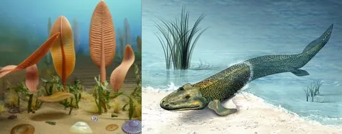 Oceans were home to the first animals, which appeared half a billion years ago. Over time, these animals evolved, and species like Tiktaalik roseae, a 375-million-year-old fish, began to move onto land. (Images courtesy of Maulucioni (based on the artwork by Ryan Somma), CC BY-SA 4.0, and Zina Deretsky, National Science Foundation, respectively, via Wikimedia Commons)