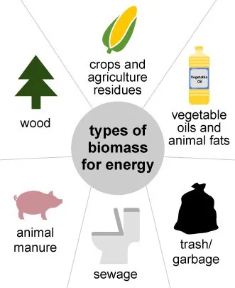 Different natural material from plants and animals–like vegetable oil or animal manure–can be used to make biofuels. (Image via the U.S. Energy Information Administration)